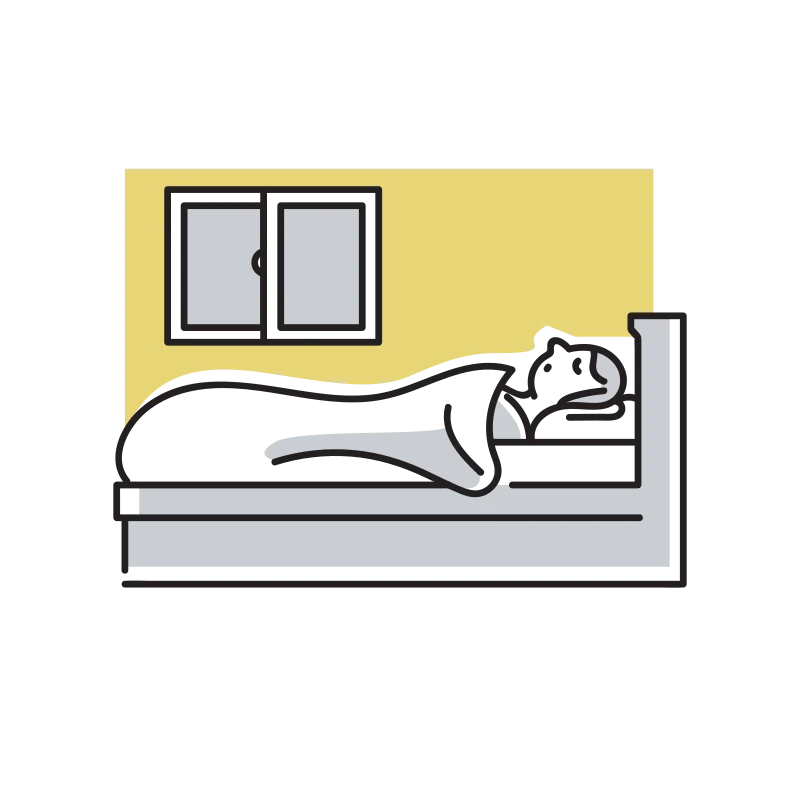 窓際のベットで眠る人のイラスト